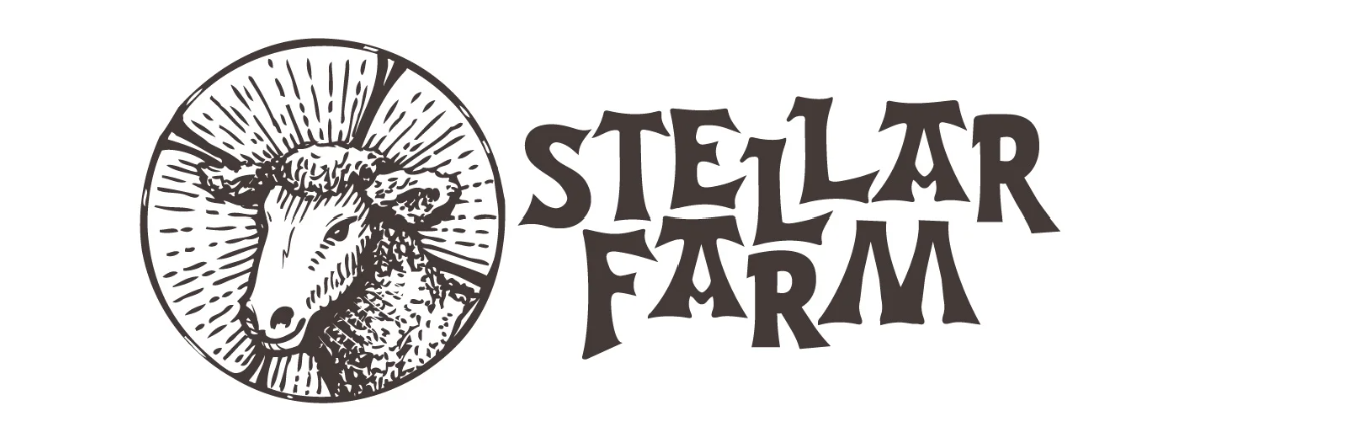 Wine Tasting with Stellar Farm + Wine