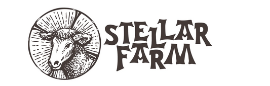 Wine Tasting with Stellar Farm + Wine